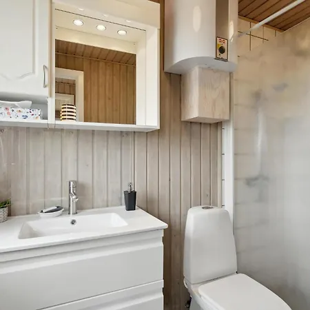 Assens With A Fireplace 03 * Assens